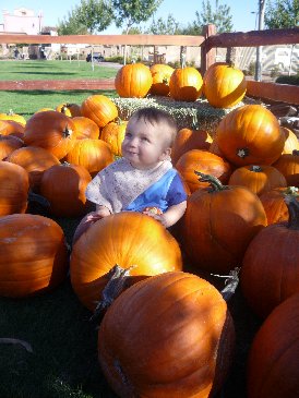 Alex Pumpkin 1.jpg