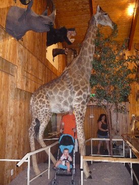 Alex and Giraffe.JPG