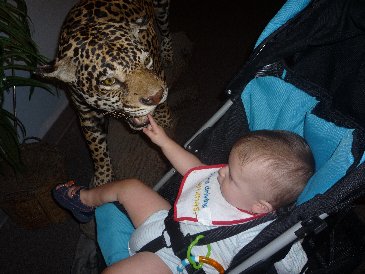 Alex and Jaguar.JPG