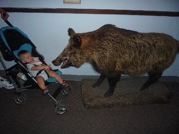 Alex and Wild Boar.JPG