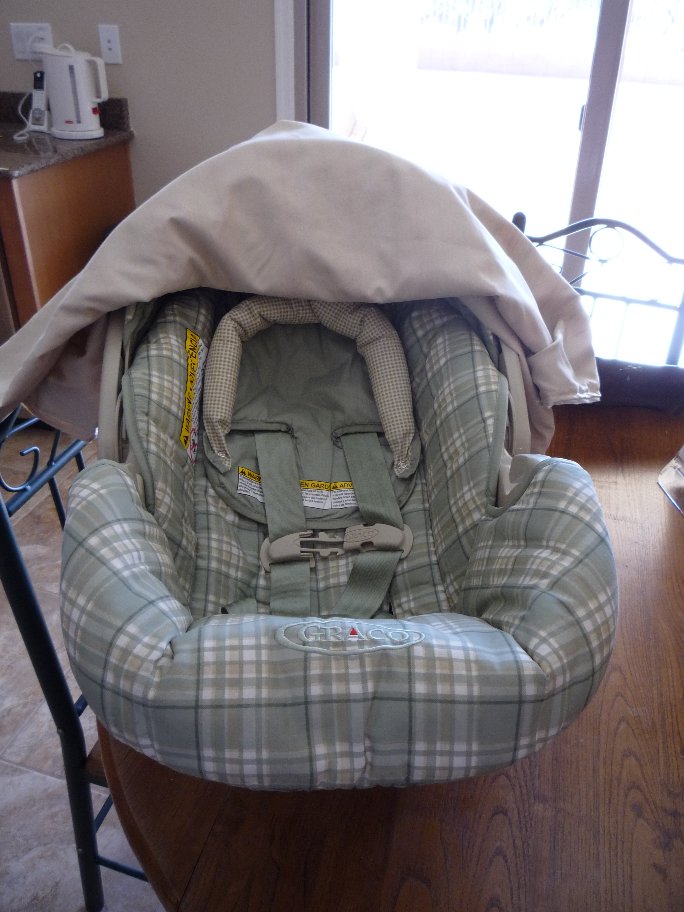 Car Seat Cover 2.JPG