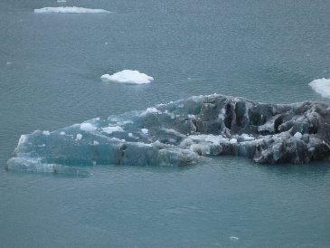 Cruise Iceberg.jpg