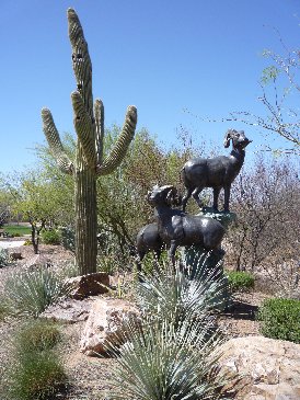 Desert Big Horn Sheep.jpg