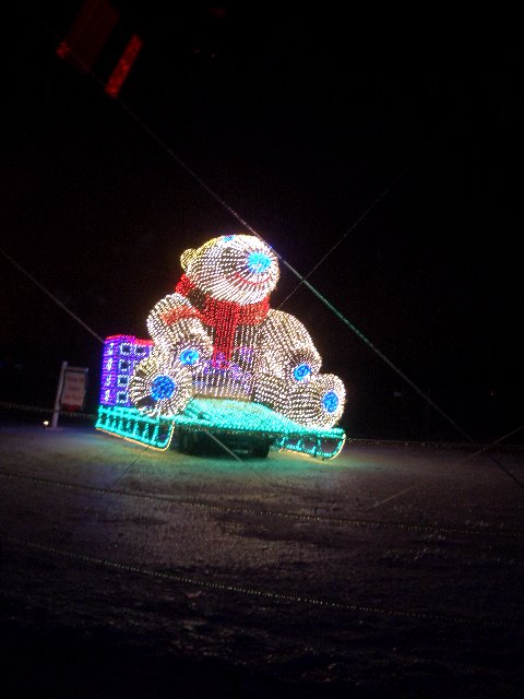 Festival of Lights 2.jpg