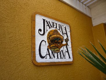 Javelina Cantina.JPG