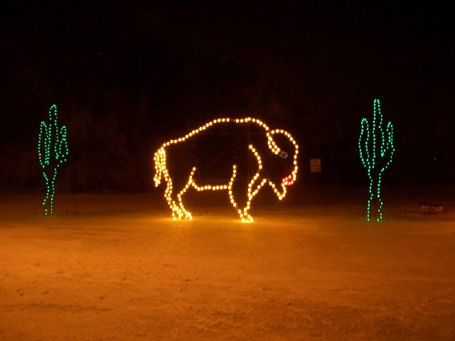 saguaro llghts.jpg