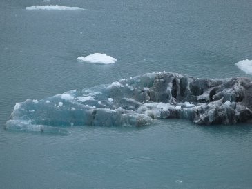 Cruise Iceberg.jpg
