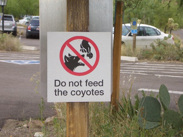 Do Not Feed.jpg