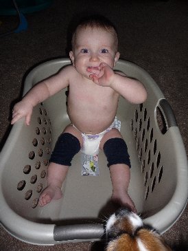 Laundry Basket.jpg